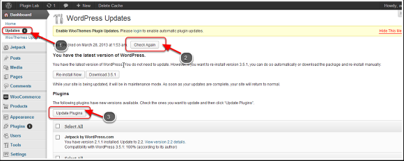 Updating InfusedWoo Pro